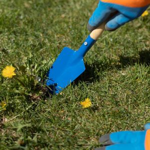 Изображение товара 682324