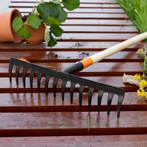 Изображение товара 983932