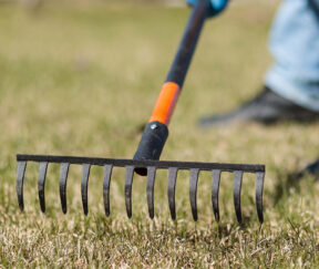 Изображение товара 983727