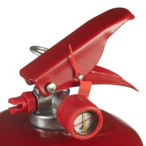 Изображение товара 1024221