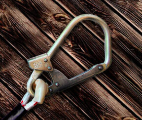 Изображение товара 810829