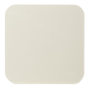 Переключатель Systeme Electric Blanca одноклавишный накладной бежевый (BLNVA106017)