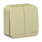 Выключатель Systeme Electric Blanca двухклавишный накладной бежевый (BLNVA105017)