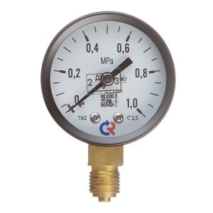 Манометр Росма ТМ-210Р.00 G1/4.2,5 радиальный 1/4 НР(ш) 10 бар d50 мм (597)