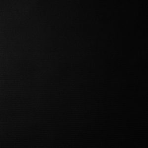 Ковролин бытовой ФлорТ Экспо черный 2 м