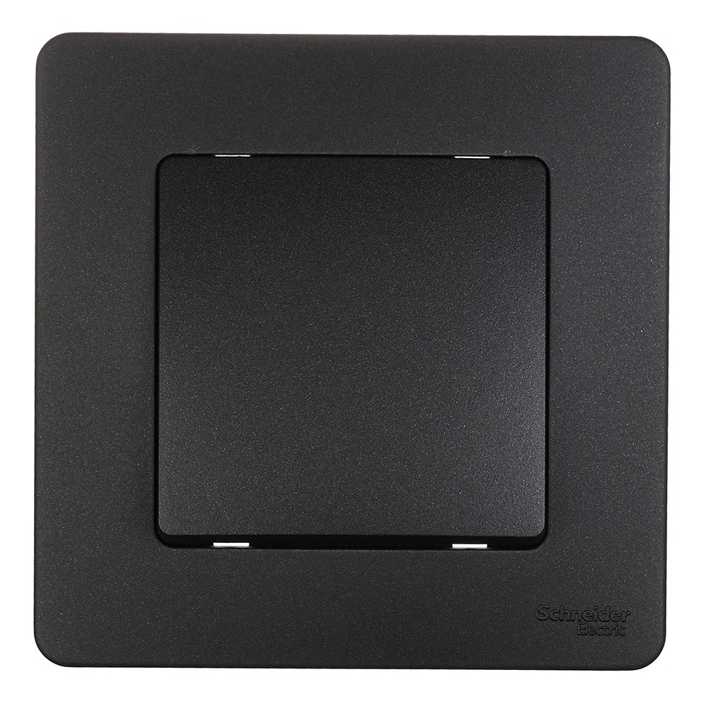 original-3342.jpg Переключатель Systeme Electric Blanca встраиваемый антрацит (BLNVS010606) — изображение 1