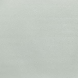 Обои компакт-винил на флизелиновой основе Elysium Фокс фон Е203720 (1,06х10,05 м)