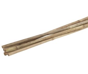 Изображение товара 1055542