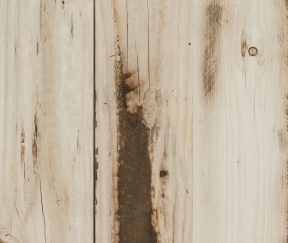 Изображение товара 1021416