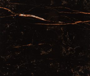 Изображение товара 1021406