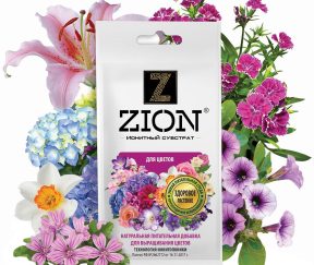 Изображение товара 983310