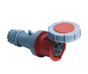 Изображение товара 1002702