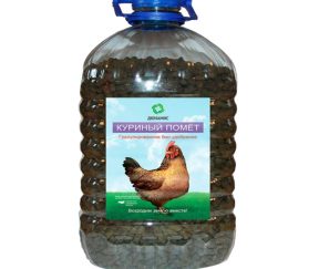 Изображение товара 1052357