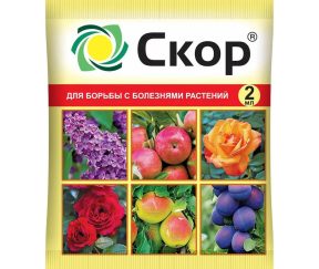 Изображение товара 1052383