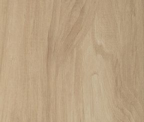 Изображение товара 1059685